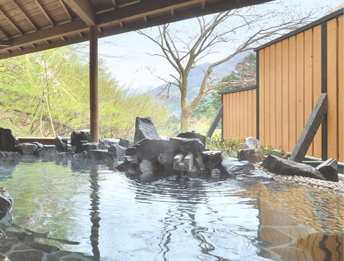 鹿覗きの湯 つるや